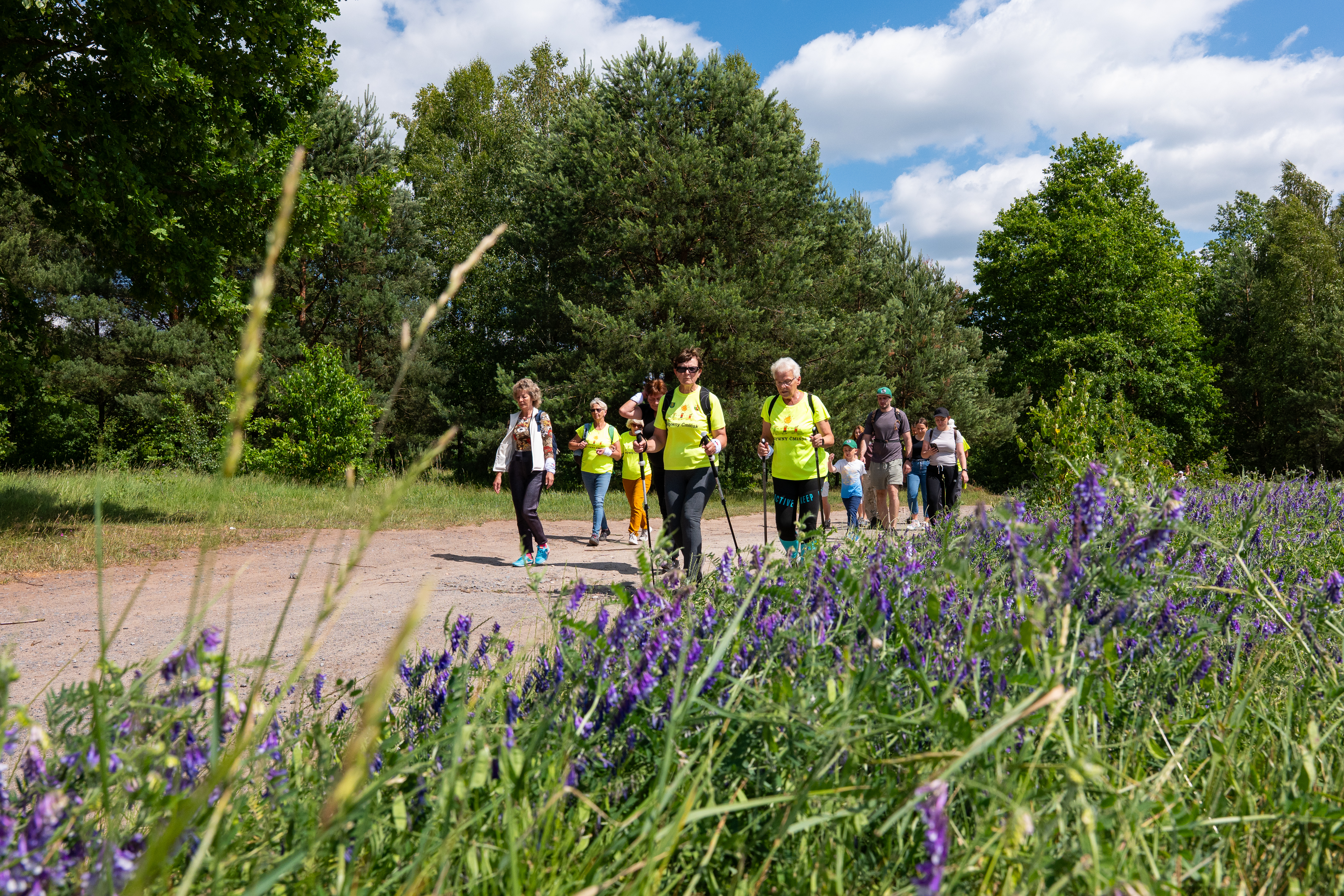 Turystyka piesza na szlakach gminy Miedziana Góra