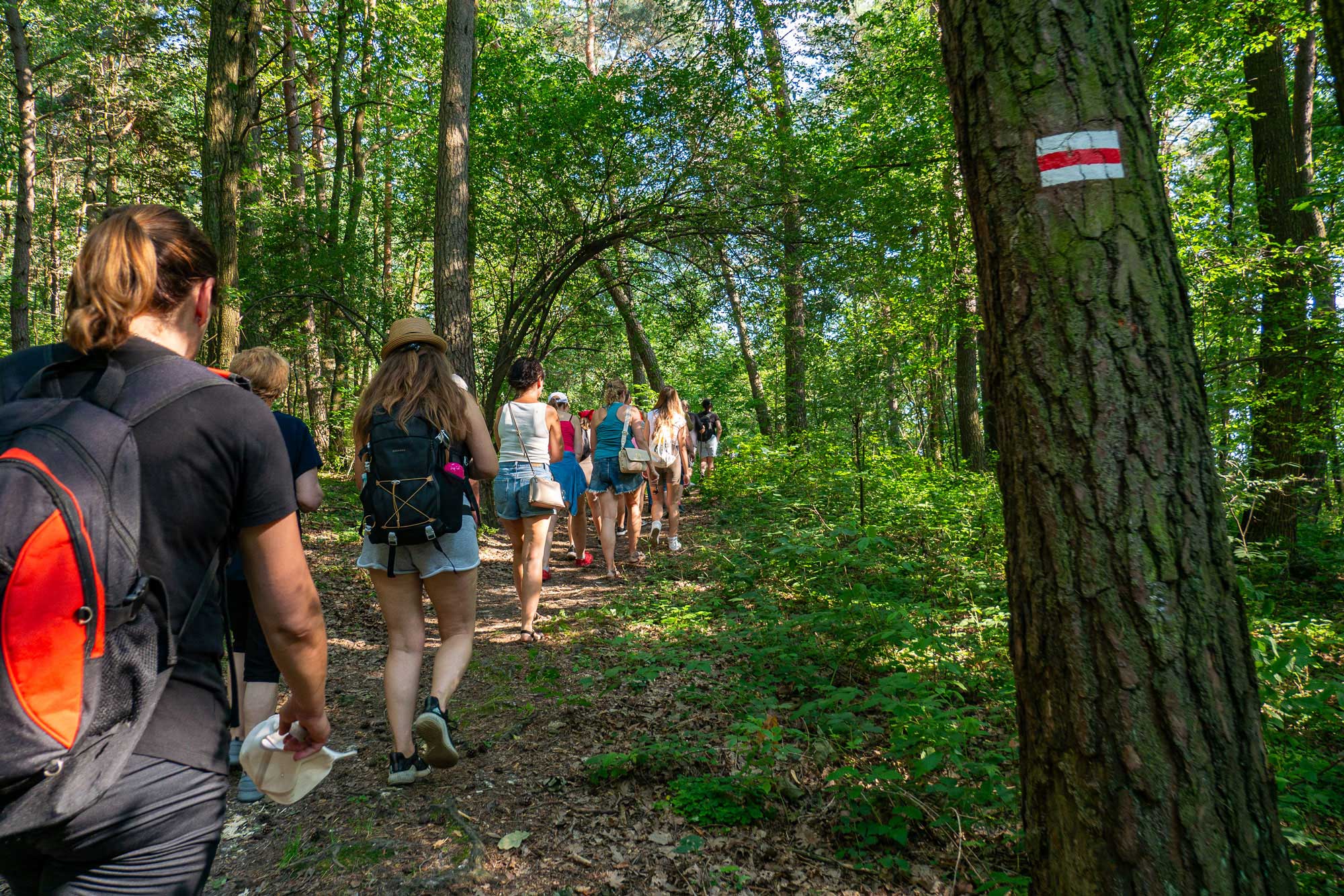 Kaplica Przemienienia Pańskiego i Rezerwat Kręgi Kamienne na Górze Grodowej