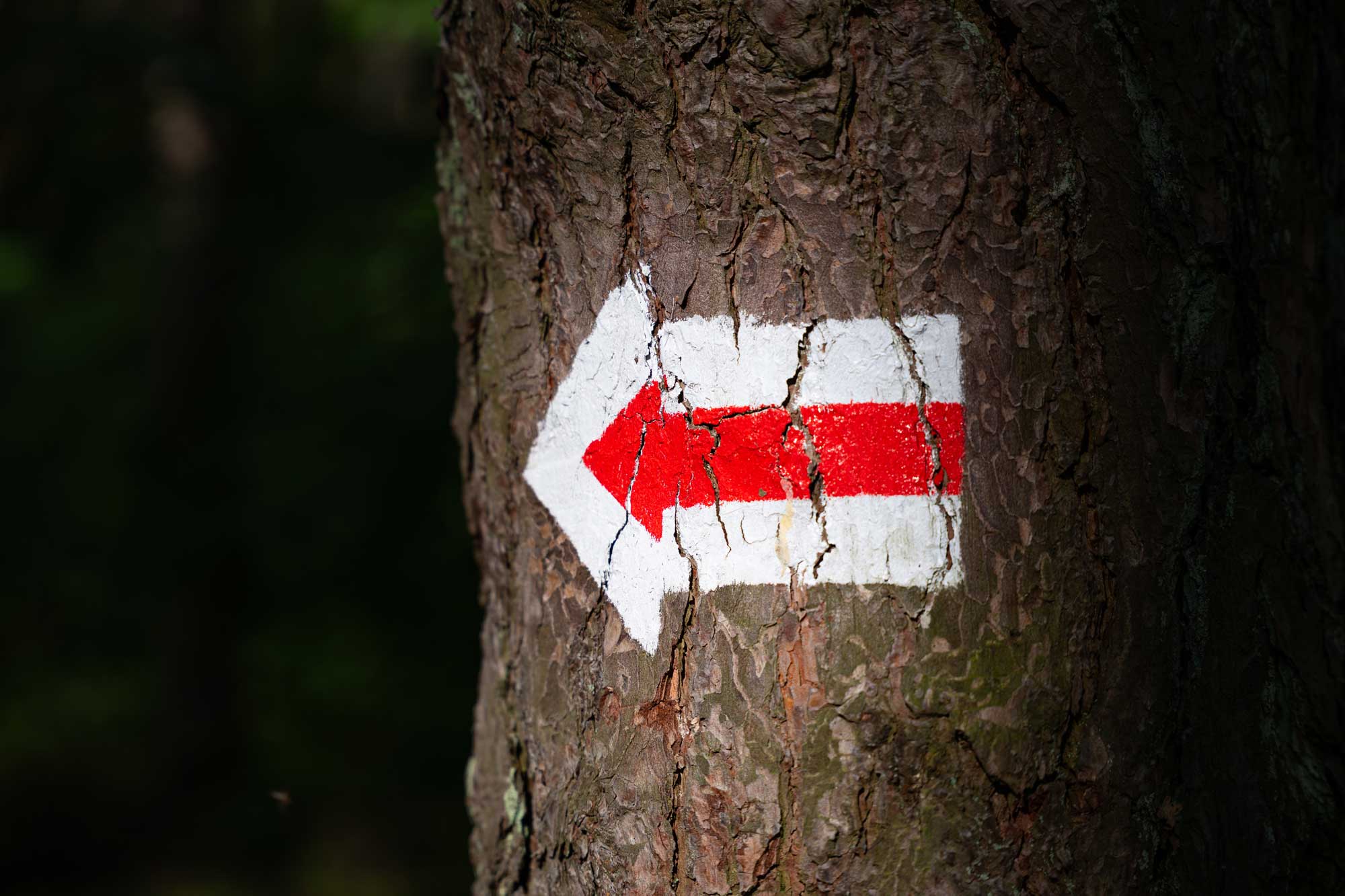 Główny Szlak Świętokrzyski