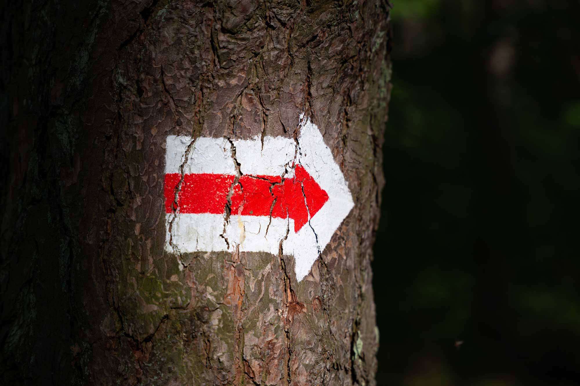 Pomnik przyrody Piekło na Górze Kamień