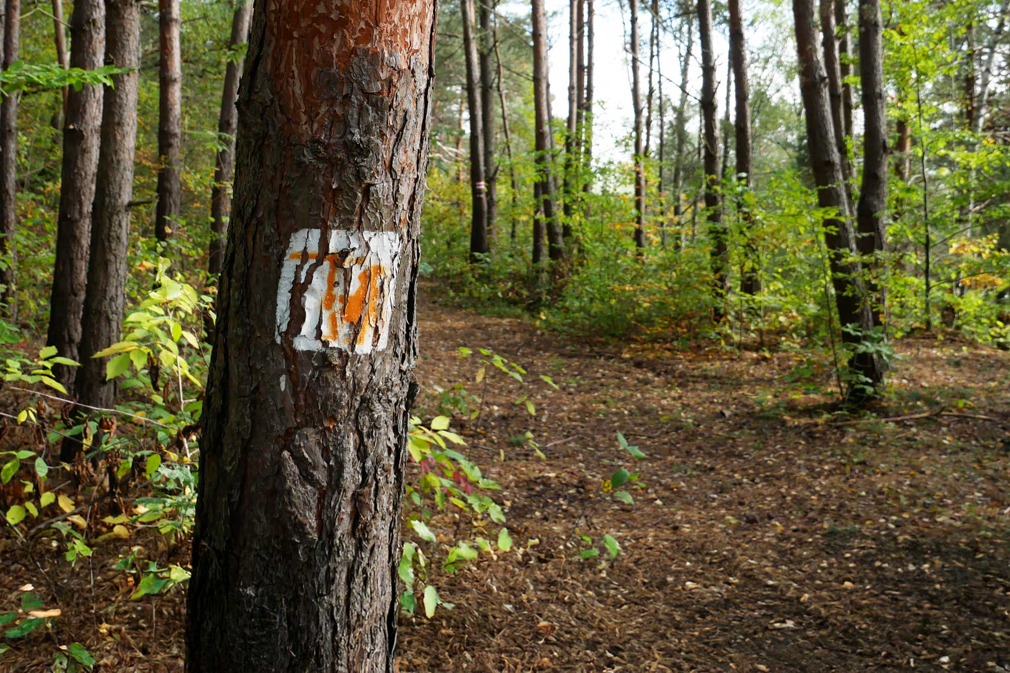 Śladami gwarków, fryszerzy i kowali
