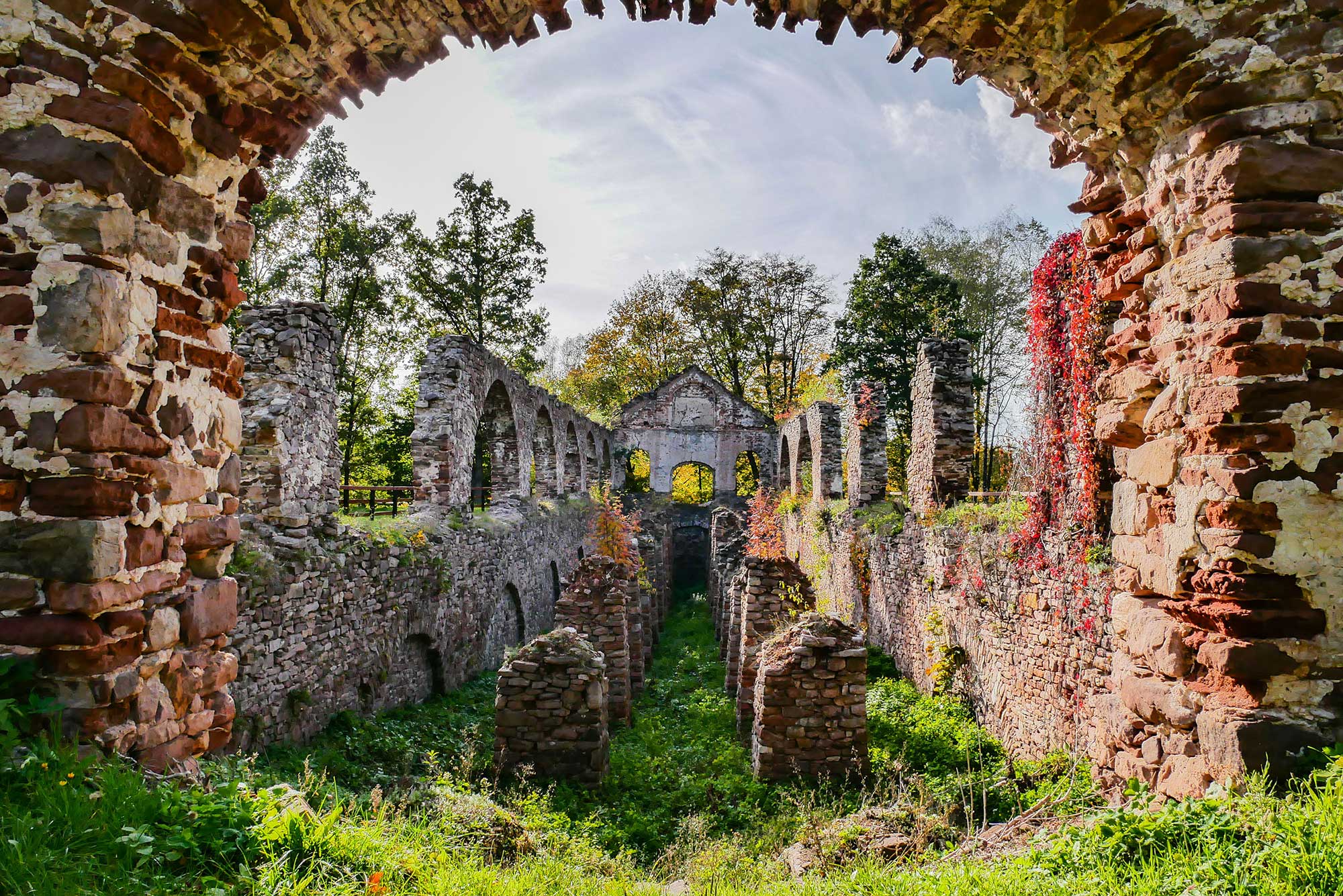 Bobrza węgielnia staszic