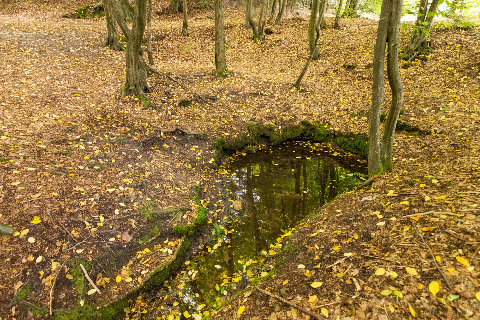 Źródło za Stodółką