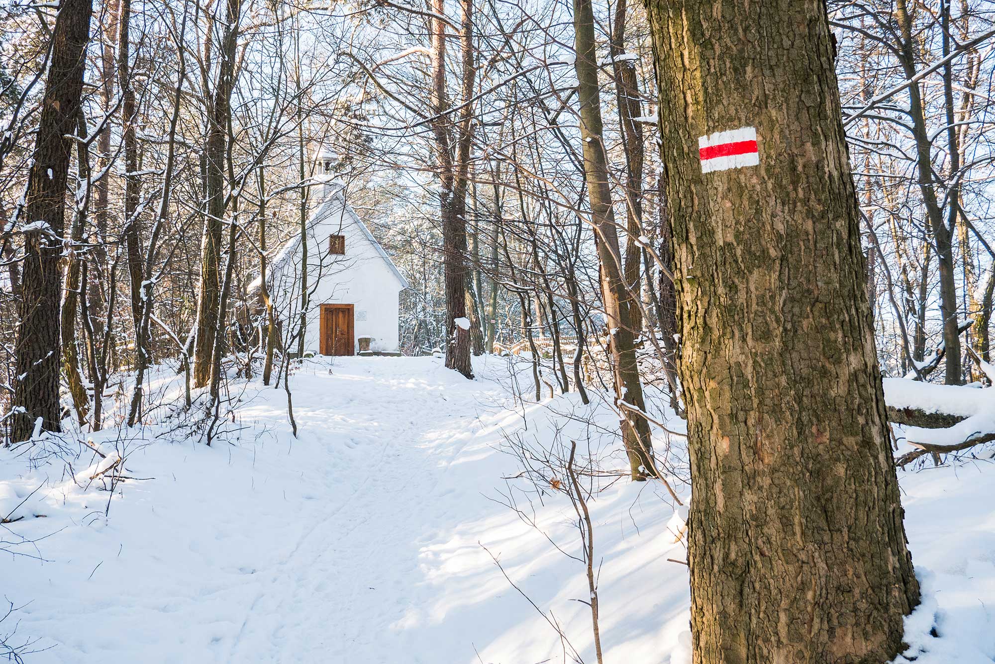 Kaplica Przemienienia Pańskiego na Górze Grodowej