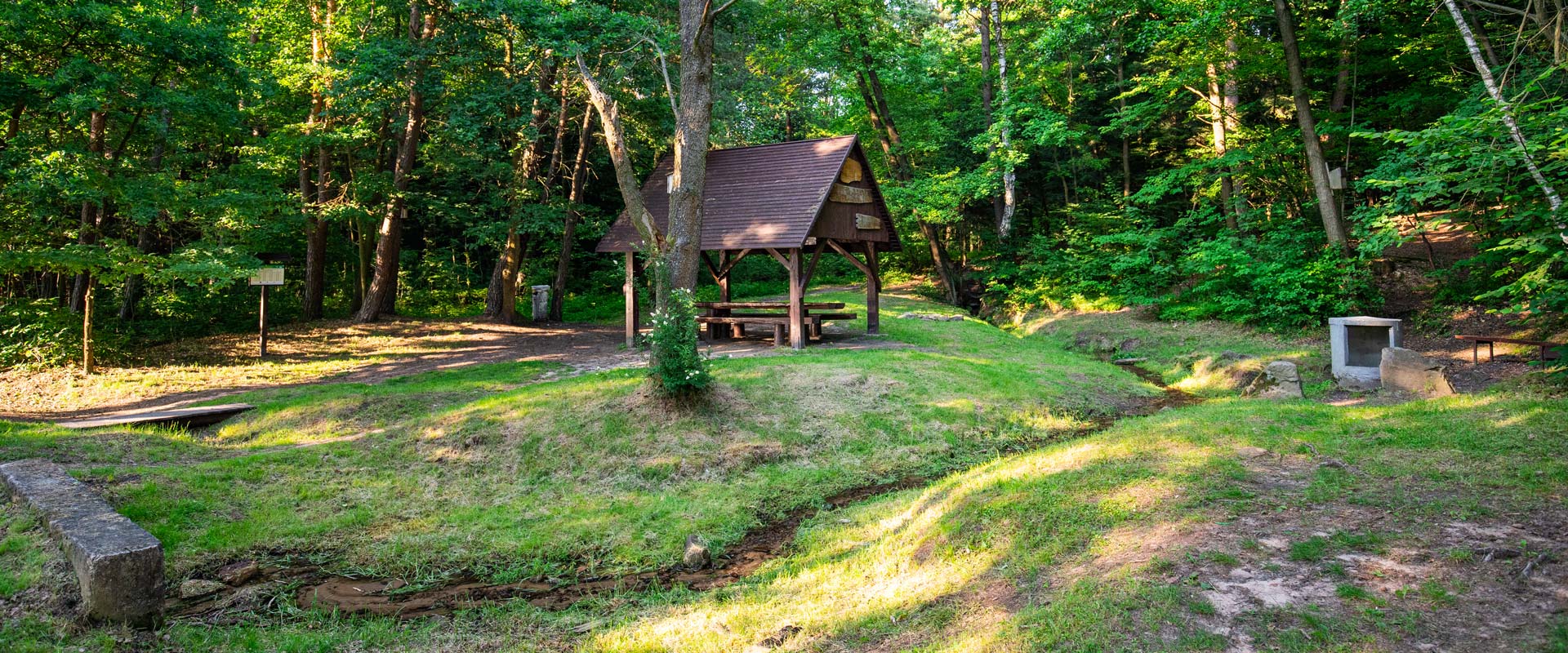 Żródło Grodowe Ćmińsk