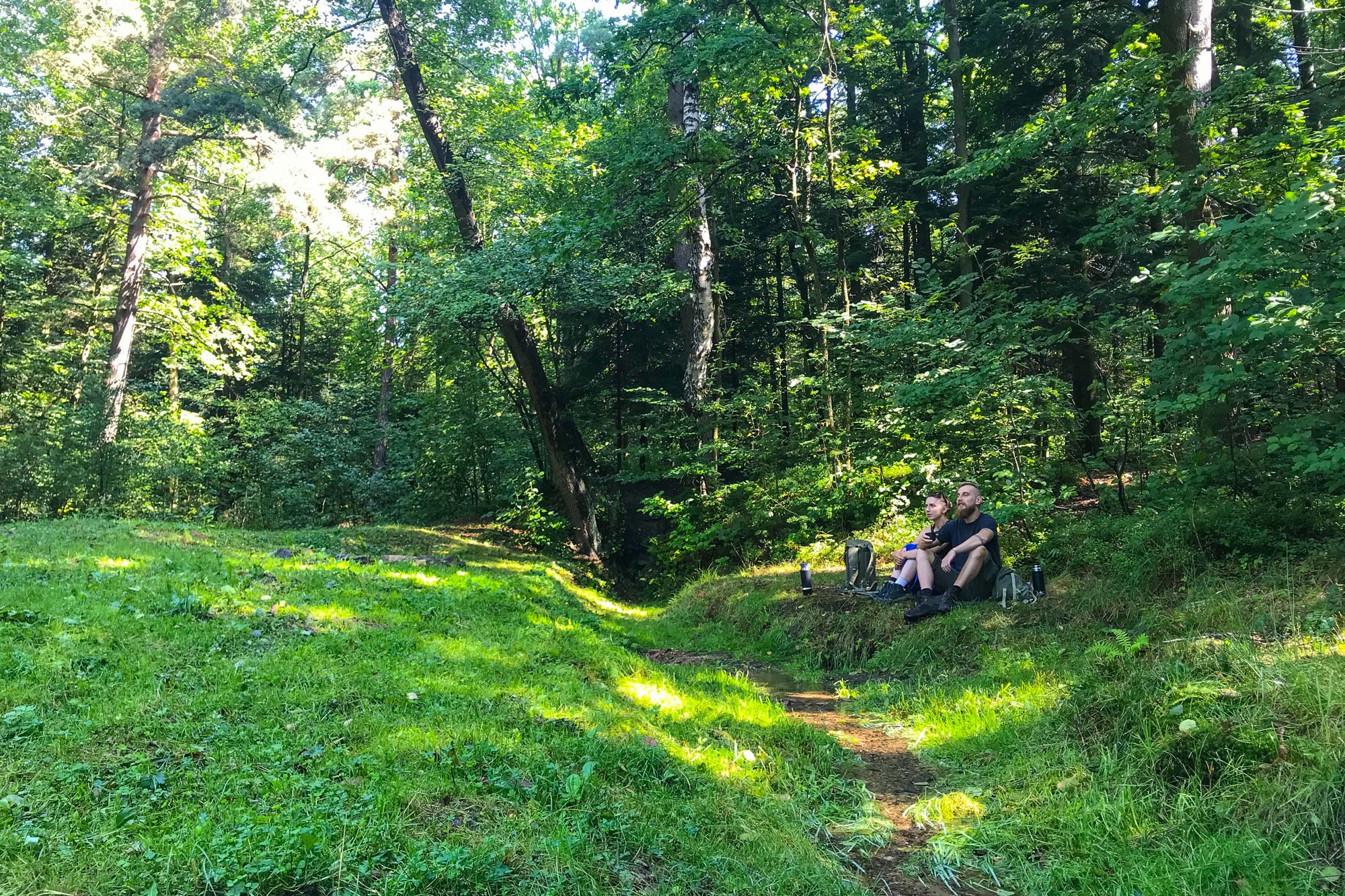 Pomnik przyrody Źródło Grodowe – spokojne miejsce odpoczynku i edukacji przyrodniczej