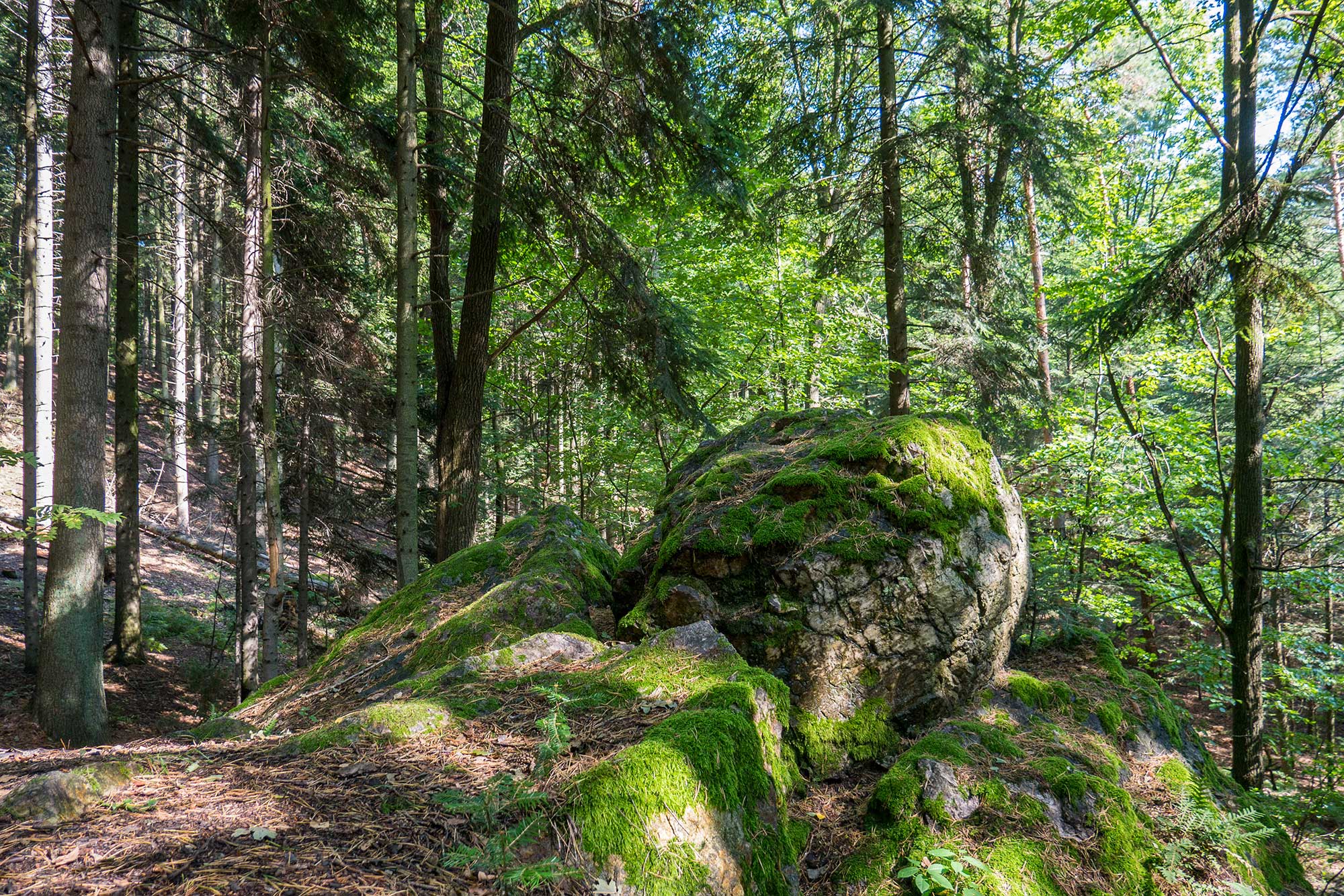 Wzniesienie Góra Kamień