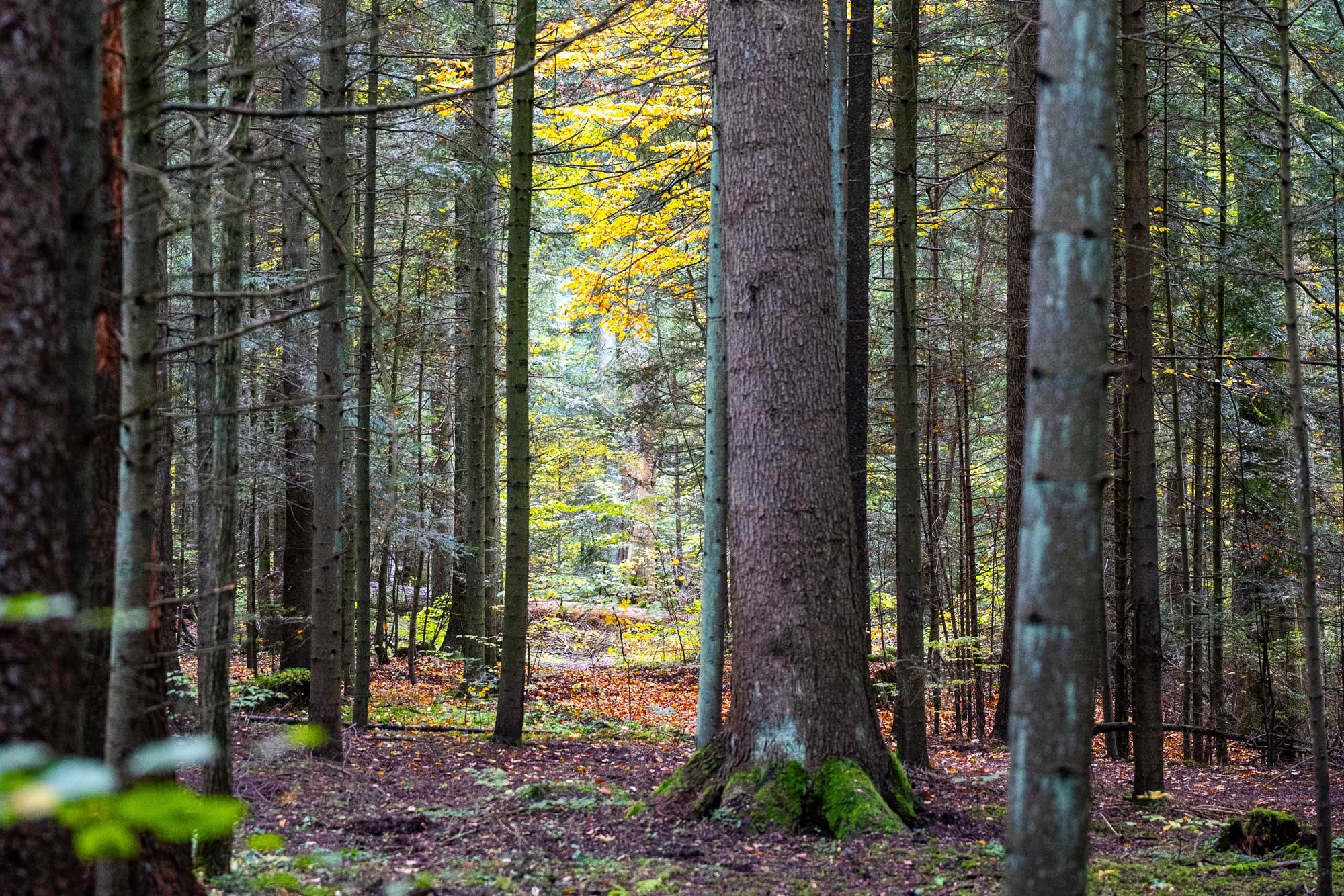 Rezerwat Sufraganiec wycieczka