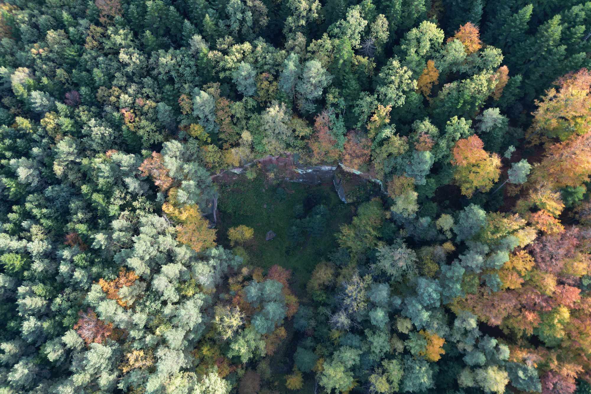 Dawne wyrobisko piaskowca Wykień wpisane w krajobraz Gór Świętokrzyskich