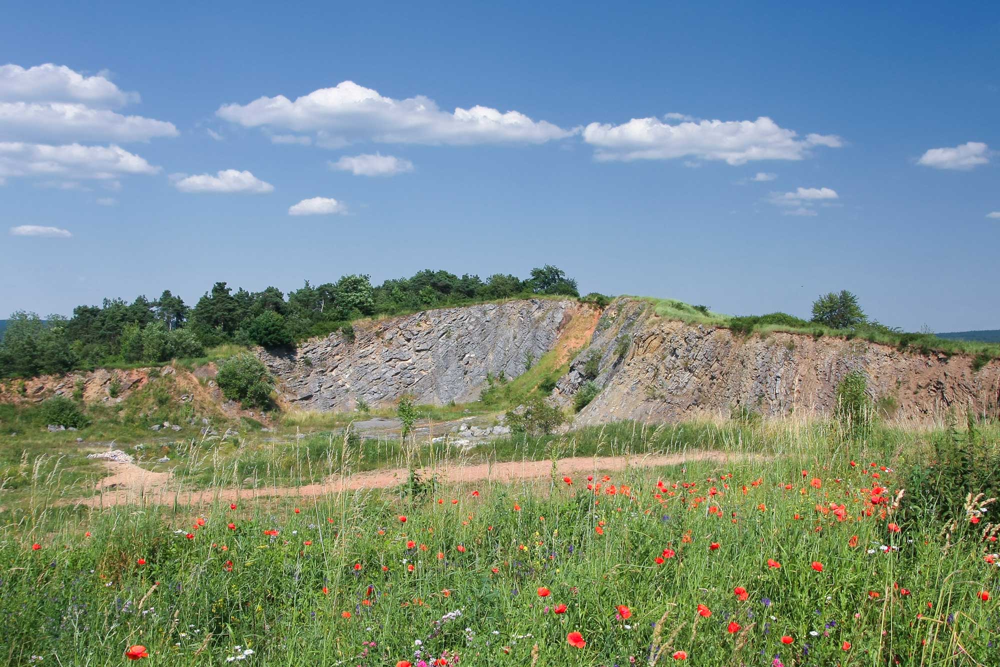 Nieczynny kamieniołom Mogiłki