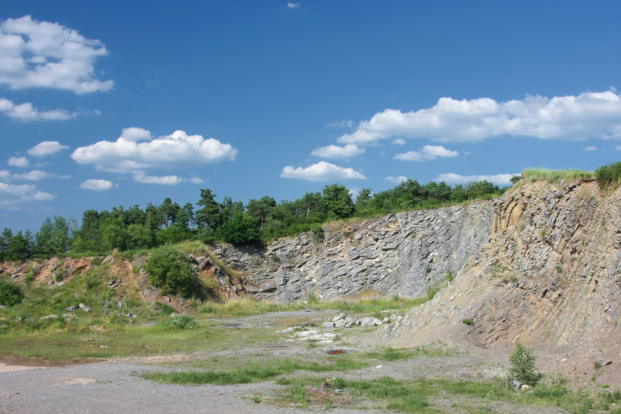 Odsłonięcie wapieni i dolomitów dewonu w kamieniołomie Mogiłki