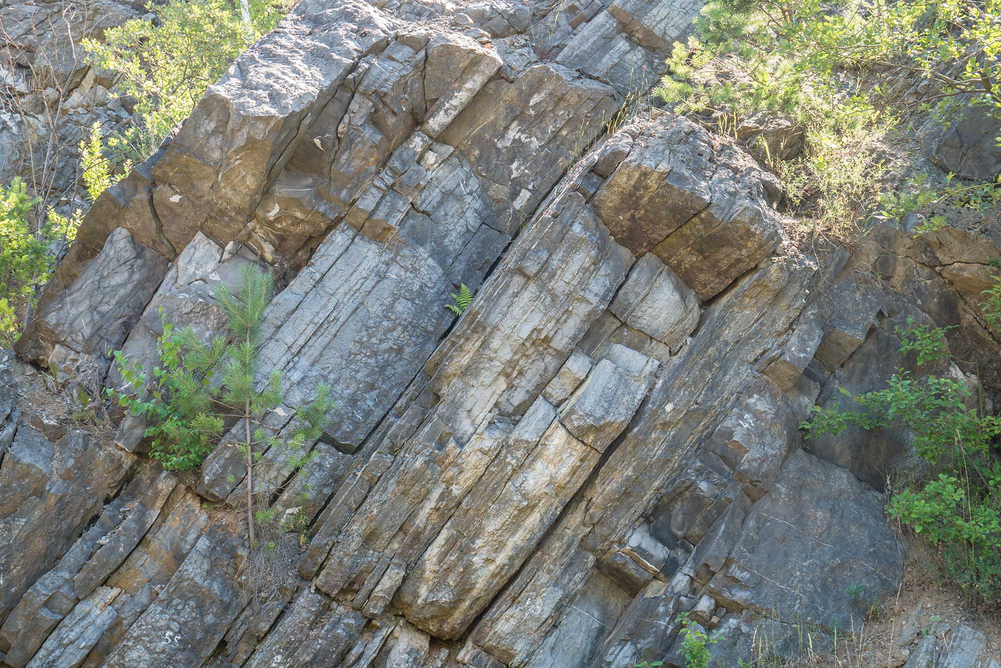 Mogiłki – warstwy szydłóweckie i kostomłockie