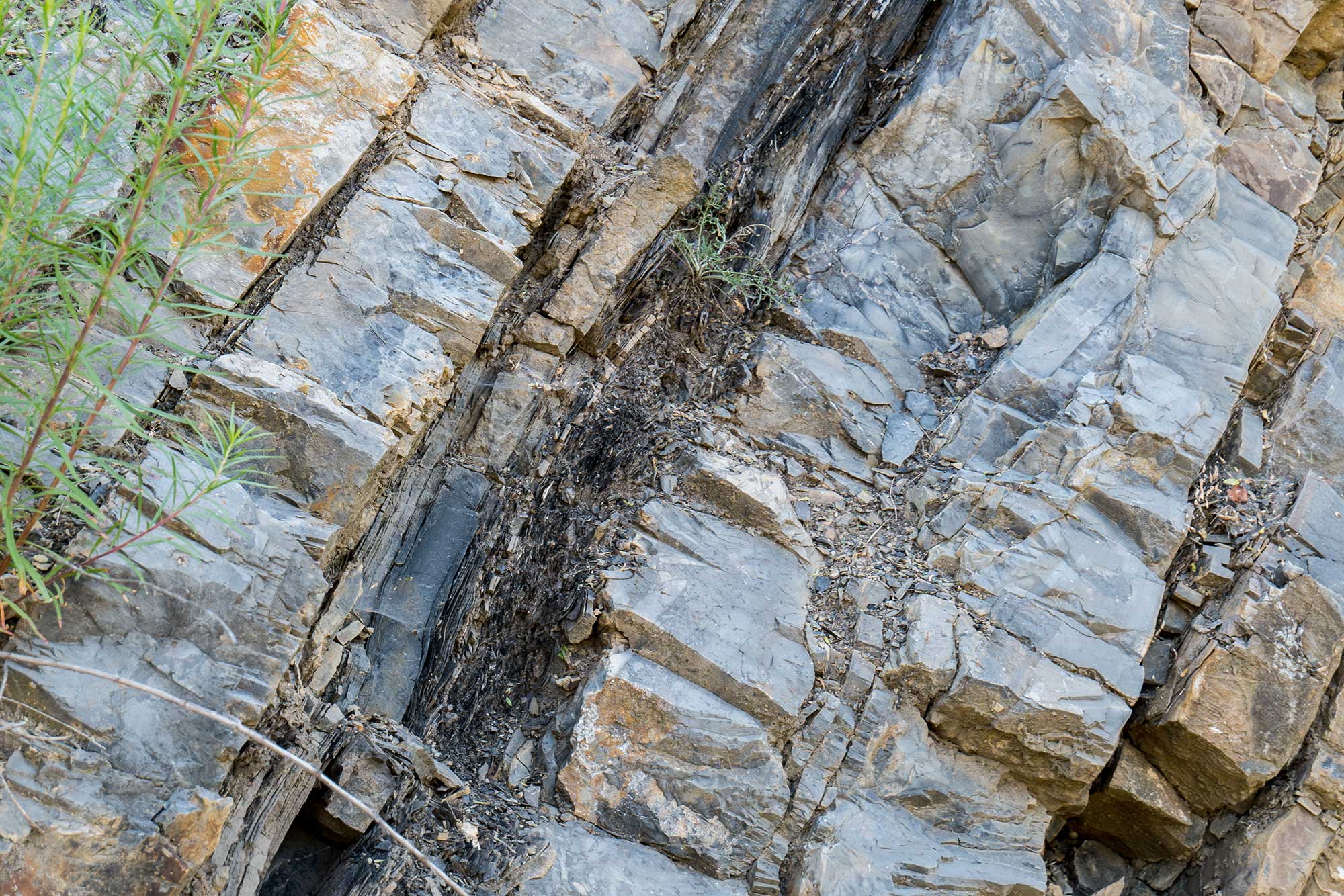 Widok dna kamieniołomu Mogiłki