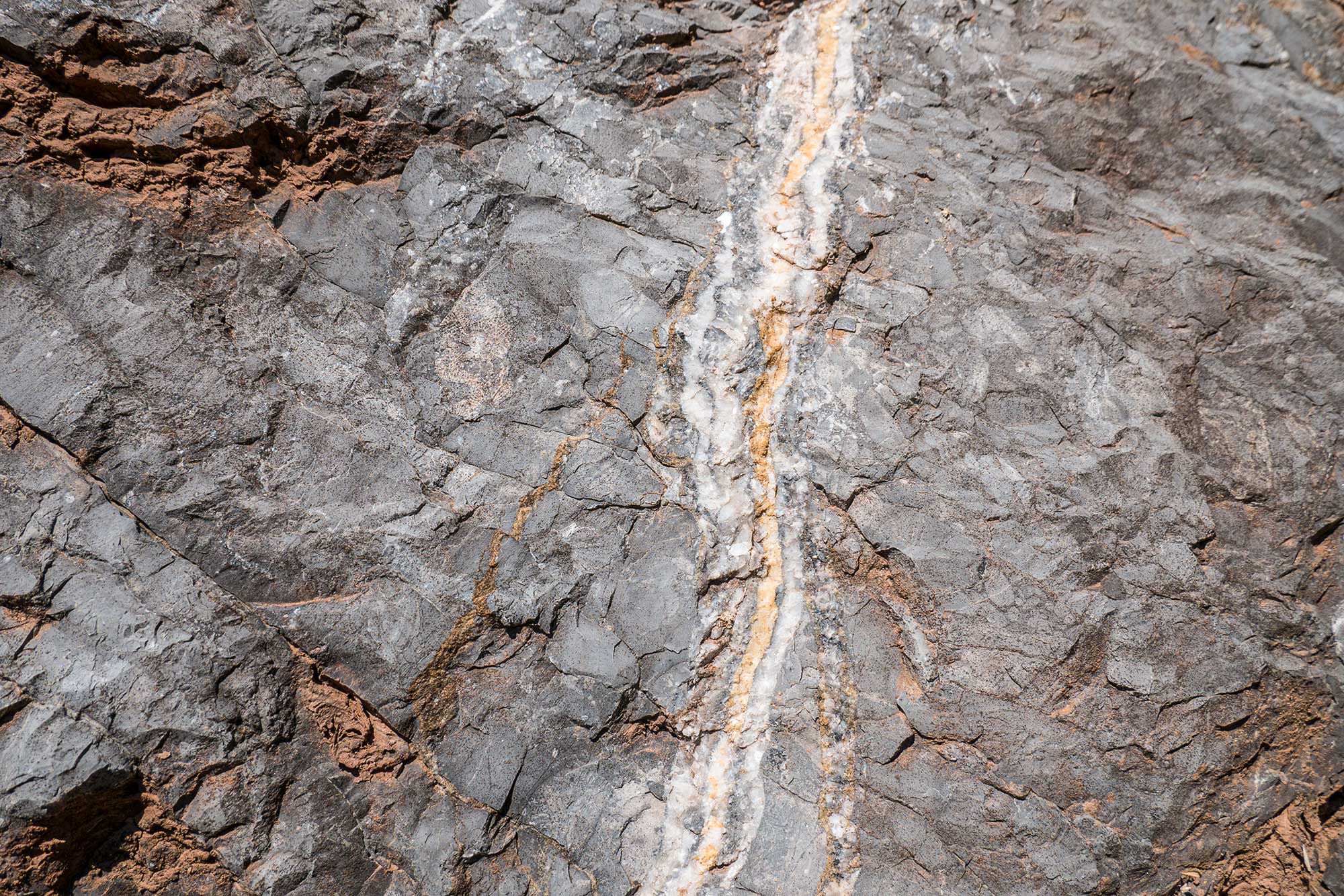 Ściany skalne kamieniołomu Mogiłki z widocznymi fałdami i spękaniami