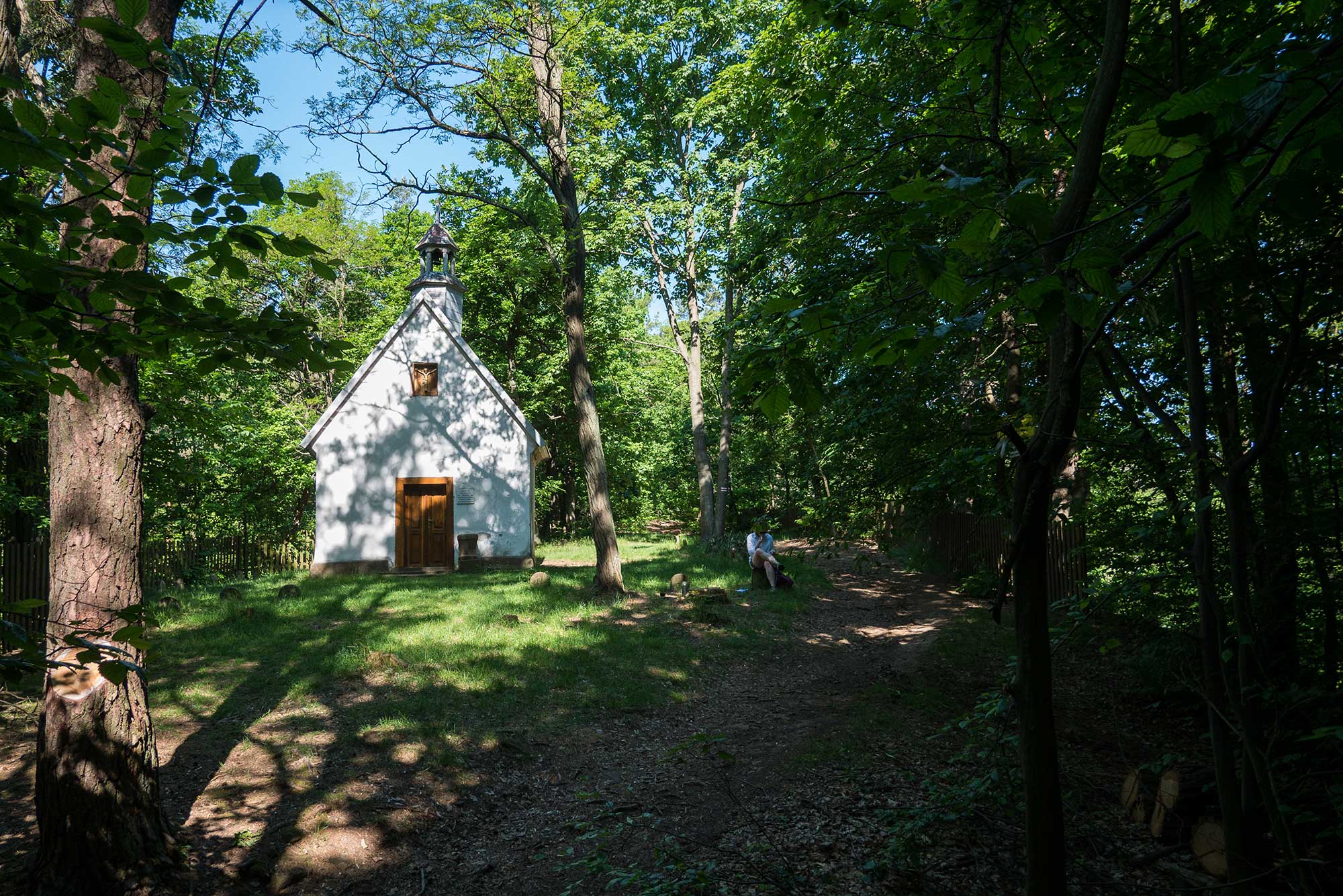 Grodowa – kaplica w lesie, gmina Miedziana Góra, szlak turystyczny