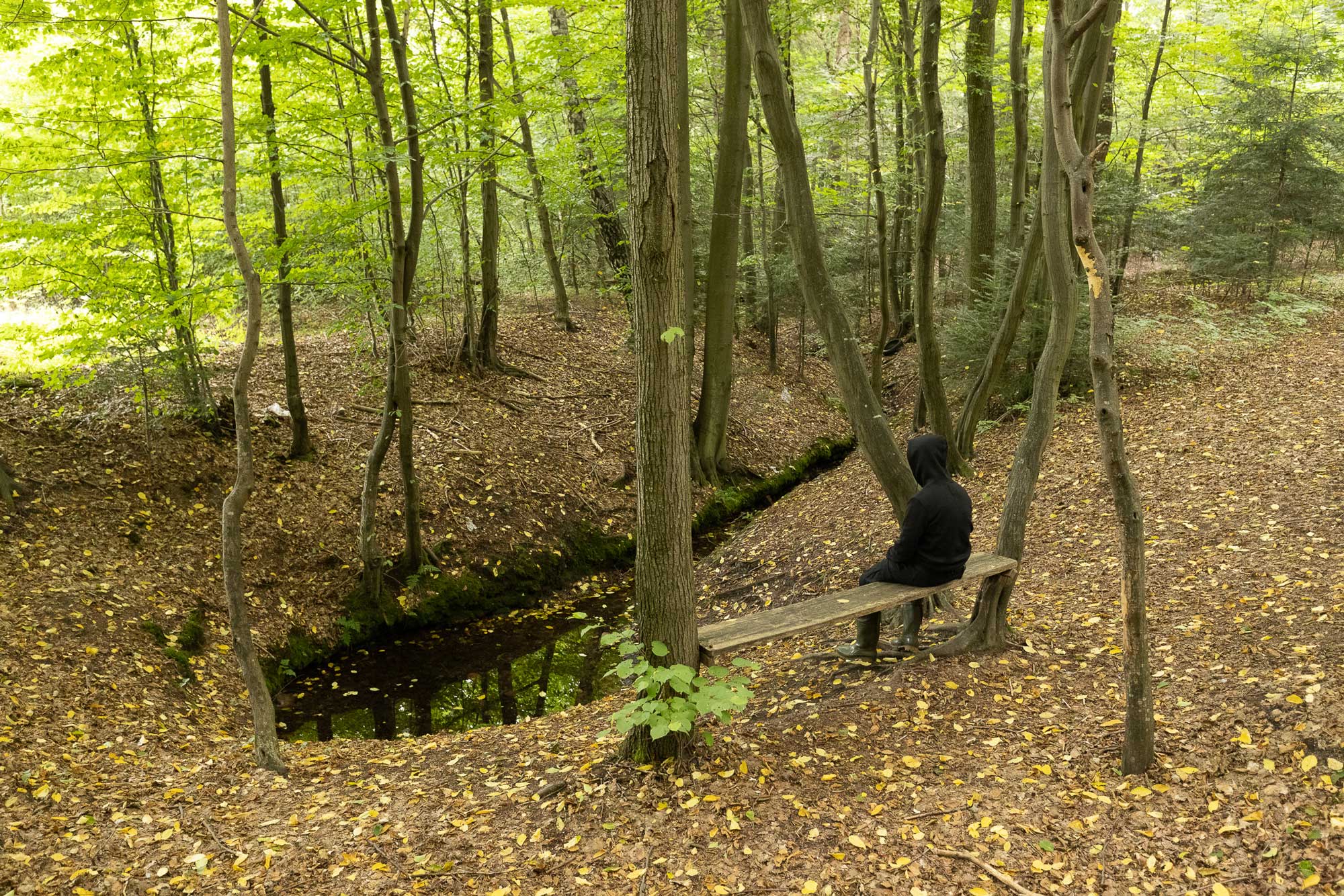 Pizzeria Piecownia Tor Kielce